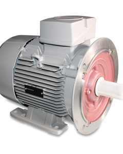E-Motor 5.5kW B3 / B5 / 250, 220/480V 50/60Hz 3Ph (EE02008)